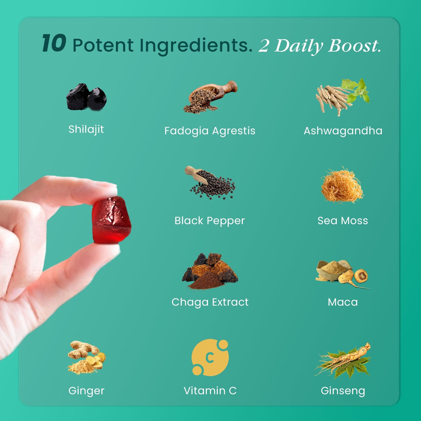 Himalayan Shilajit Gummies β 60 Gummies | 3000mg RHE per Serving | Herbal Wellness Blend with Natural Cherry Flavor