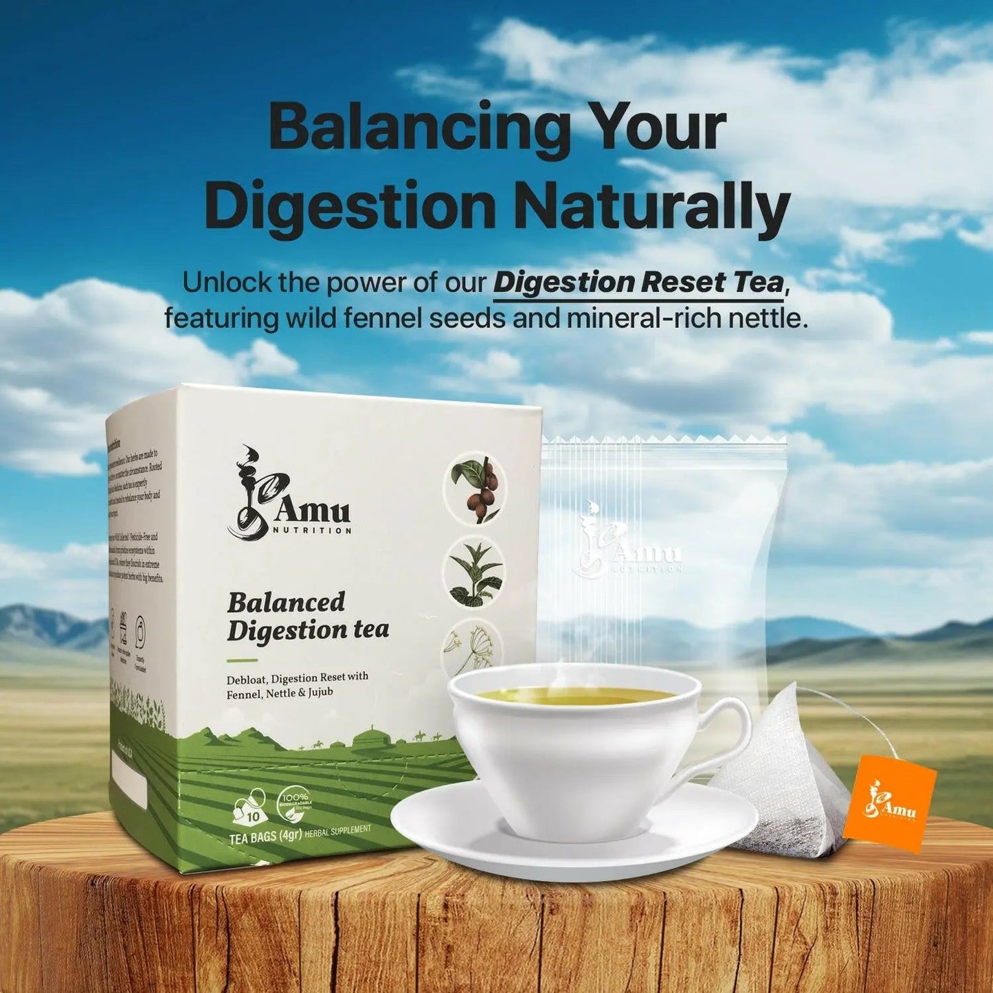 Balanced Digestion Tea – Support Gut Health and Reduce Inflammation with Nettle Leaf, Fennel Seed, and Jujube - 10 Sugarcane Tea Bags