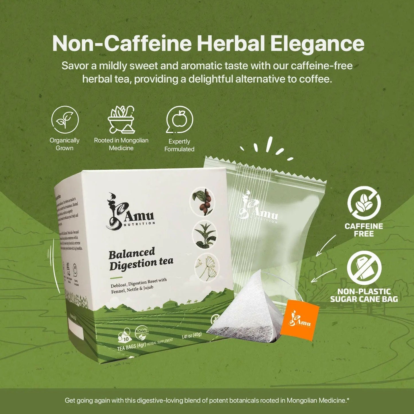 Balanced Digestion Tea – Support Gut Health and Reduce Inflammation with Nettle Leaf, Fennel Seed, and Jujube - 10 Sugarcane Tea Bags